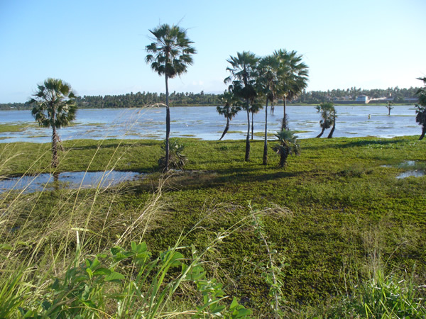 Fortaleza, Brazil